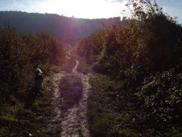 Donkey Lane